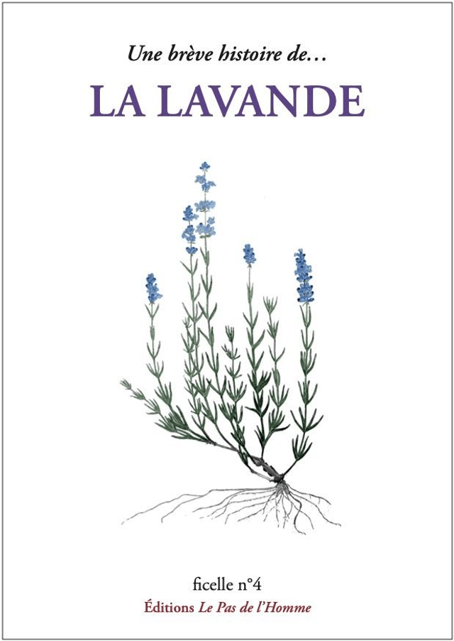 Ficelle n°4 : Une brève histoire de la lavande
