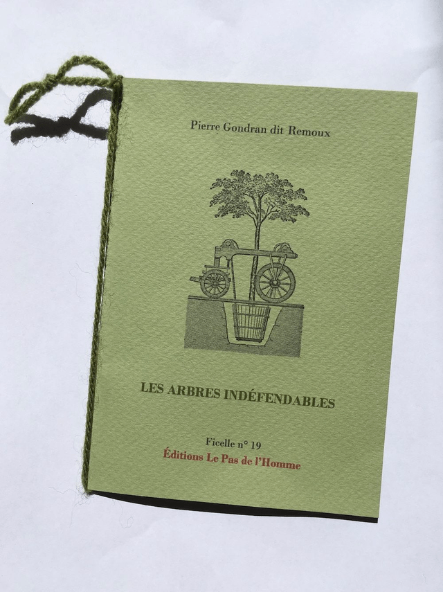 Ficelle n°19 - Les Arbres indéfendables 