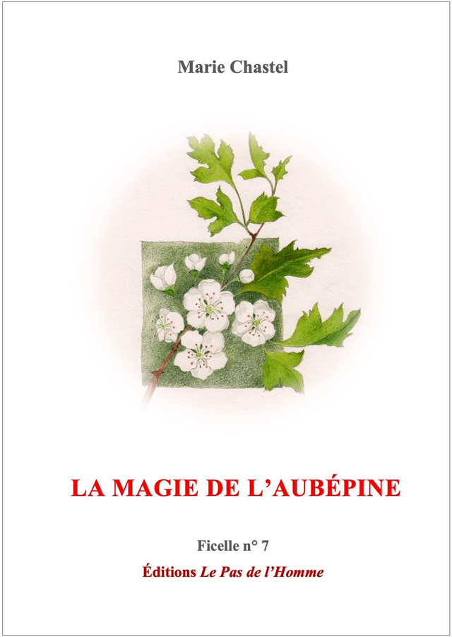 Ficelle n°7 : La Magie de l’Aubépine